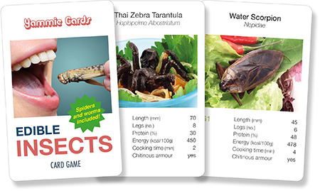Edible Insects Card Game